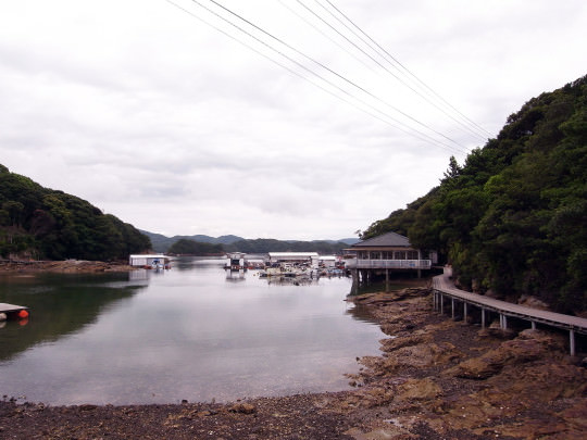 sasebo_trail_roots01