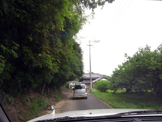 sasebo_trail_roots03