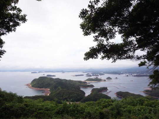 sasebo_trail_roots08