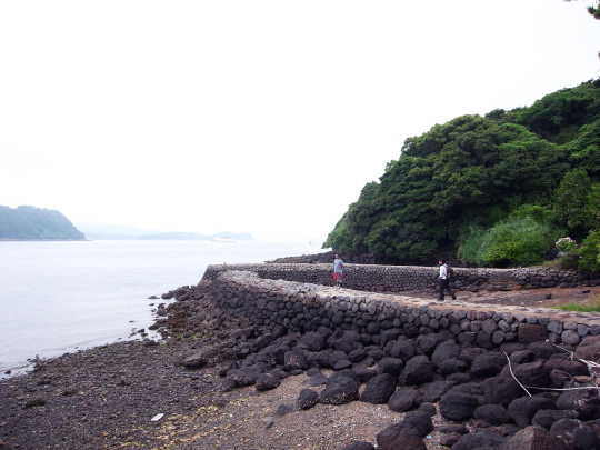 sasebo_trail_roots10