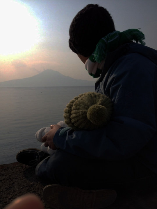sakurajima_Roots