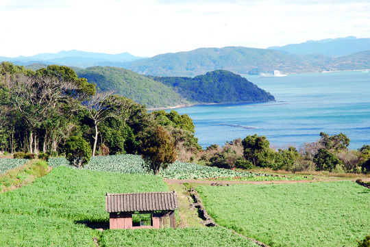 sasebotrail_007
