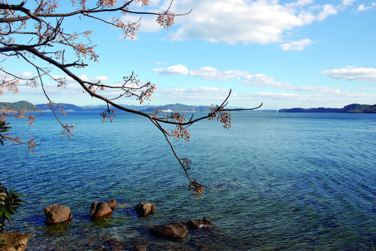sasebotrail_009
