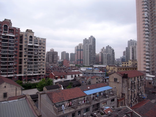 syanhai_roots12