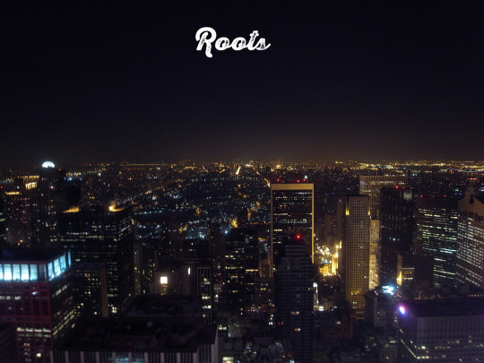 2010暮れ、ニューヨークの夜景