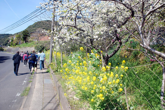 沿道を彩る四季の花々