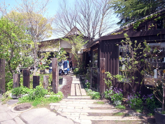 くるみの木の外観