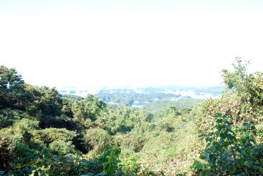 nozaki02