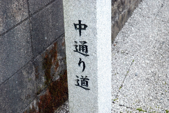 mikawachi04