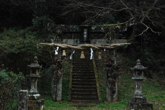mikawachi11