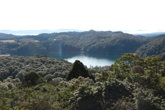 takaharu06